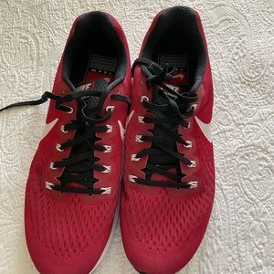 Nike Pegasus Mens Shoes  10.5